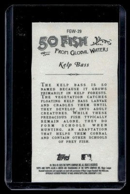 2025 Topps Allen & Ginter #FGW-29 Kelp Bass 50 Fishes from Global Waters Mini
