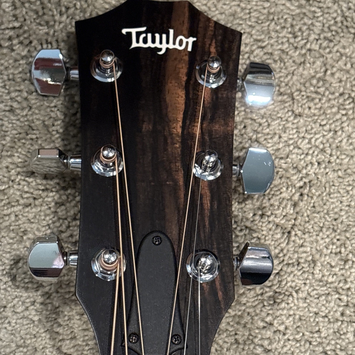 Taylor 114-E 6 Strings Grand Auditorium Electro Acoustic Guitar With Bag