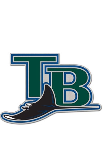 Tampa Bay Devil Rays Logo Pin