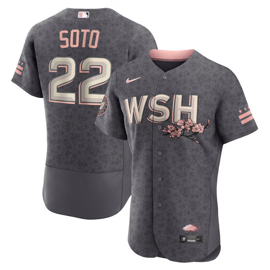 Washington Nationals Juan Soto Nike Authentic City Connect Jersey Size 48