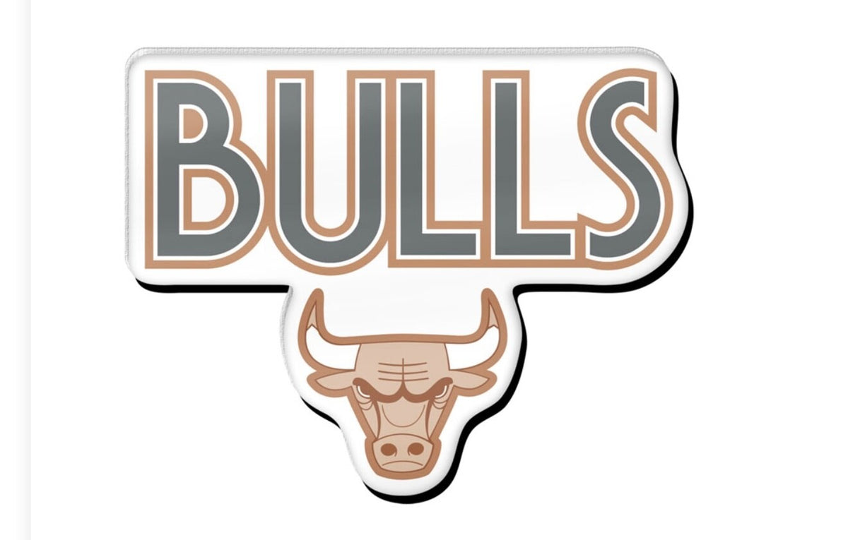2024 NBA Chicago Bulls City Edition Logo Pin NBA Cup