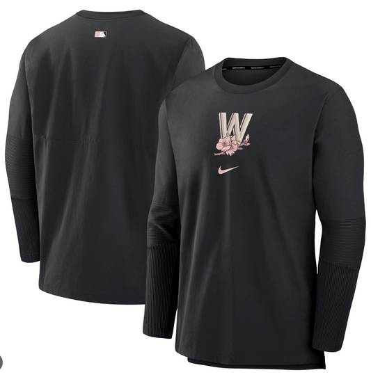 Washington Nationals Nike Authentic Collection City Connect Player Pullover LARG